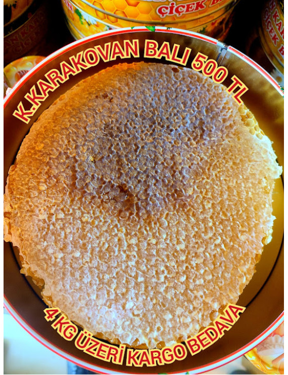 4 KG KASNAK KARAKOVAN BALI KARGO BEDAVA